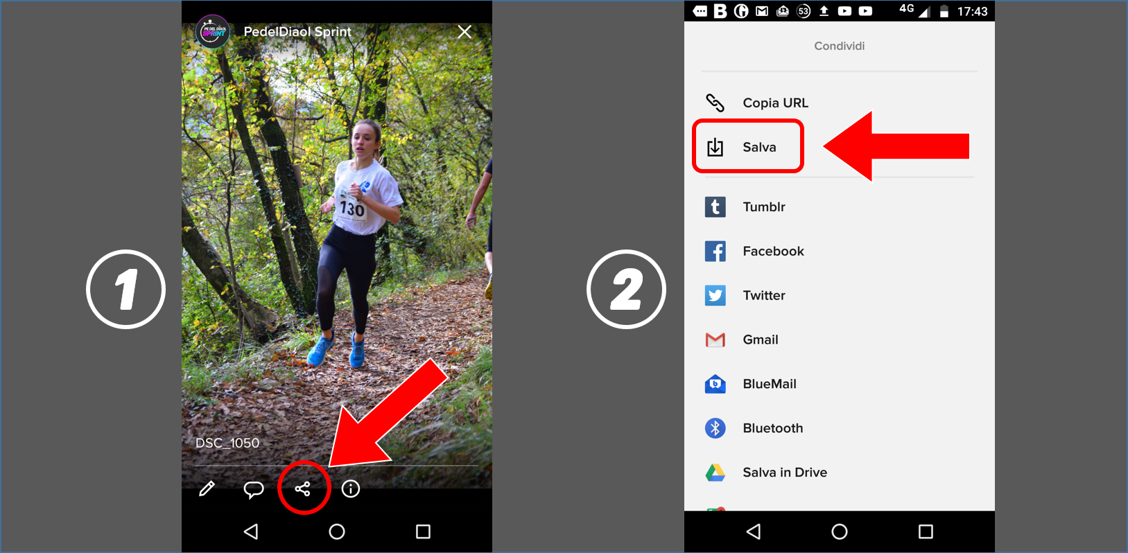 Download flickr smp