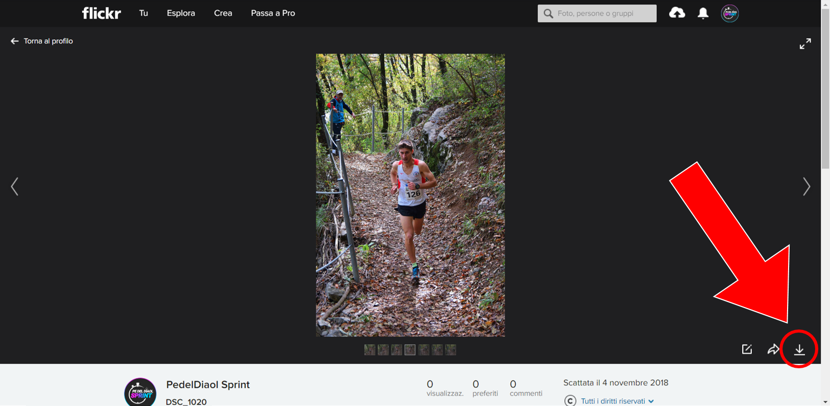 Download flickr